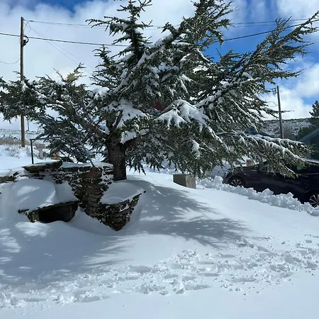 Casa Dos Pinheiros - Serra Da Estrela Penhas da Saúde