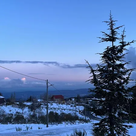 Casa Dos Pinheiros - Serra Da Estrela Nyaraló *
