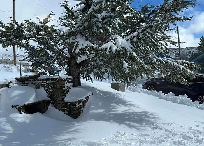 Casa Dos Pinheiros - Serra Da Estrela Penhas da Saúde