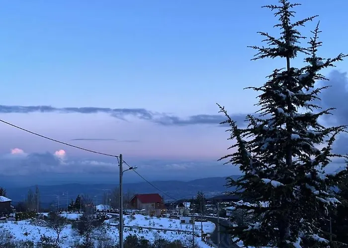 Casa Dos Pinheiros - Serra Da Estrela Prázdninový dům *